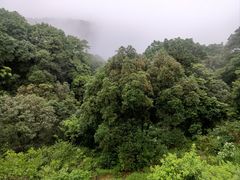 -梧桐山风景名胜区