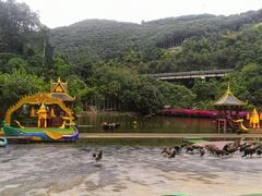 -西双版纳原始森林公园