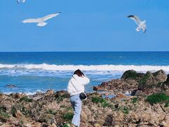 -巧克力渔家.小船海鲜家常菜(万平口店)
