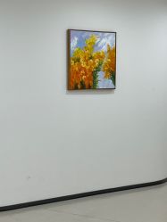 -丰联丽格医疗美容·联合丽格眼整形中心