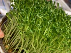 -好彩猪肚鸡(正弘城店)