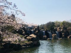 -白马涧龙池景区
