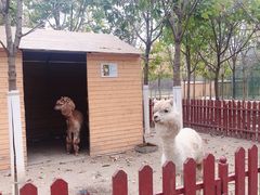 -江天生态园餐厅