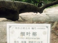 -晓港公园