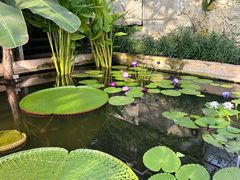 -国家植物园南园