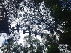 -芦仙山景区-飞越丛林探险乐园