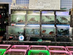 -众味海鲜大排档·活海鲜·潮汕味(南澳店)