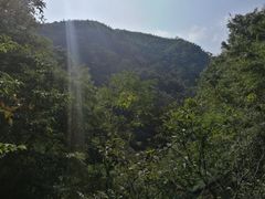 -藏龙百瀑风景区