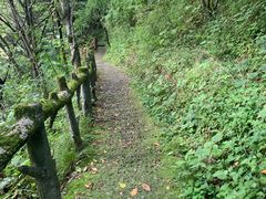 -神农架香溪源景区