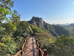 -大岭沟猕猴桃谷风景区
