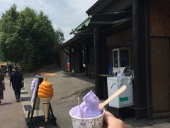 -富田农场