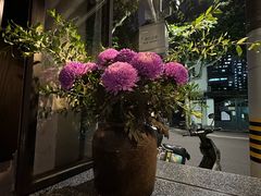 -Apollo·西班牙小酒馆(安福路店)