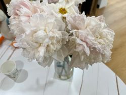 -AN普拉提女子健身工作室