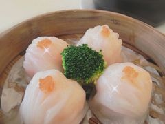 -亮庆餐厅·粤菜·早茶(篁庄店)