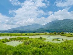 -腾冲北海湿地