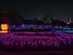 -海上田园