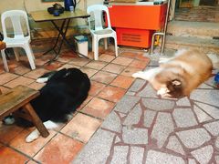 大堂-老宅原住民沙茶面精品小吃(龙头路店)