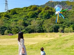-风云岭森林公园