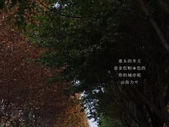 -金海湾滨江公园