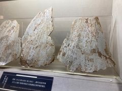 -上海邮政博物馆