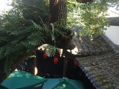 大堂-星巴克(福州三坊七巷店)