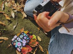 -白塘生态植物园