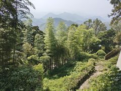 -莫干山风景区