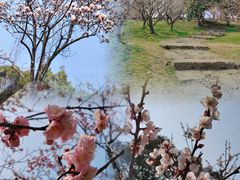 -无锡梅园公园