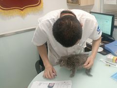 -宠福鑫康馨动物医院·骨科·眼科