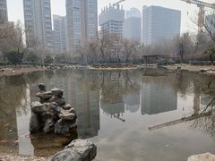 -木塔寺遗址生态公园