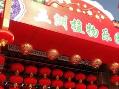 -南宫五洲植物乐园