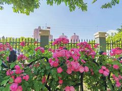 -永乐路-路侧停车场