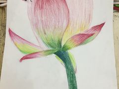 -上海峰子美术教育培训机构(杨浦店)