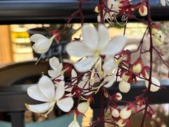 -云溪植物园
