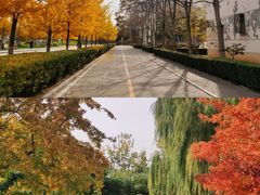 -防灾科技学院(南校区)