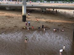 -演武大桥观景平台