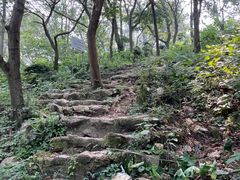 -南京老山国家森林公园