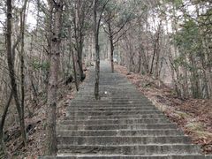-罗田天堂寨风景区
