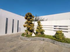 -石家庄市植物园