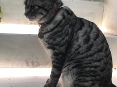 -小时光咖啡馆(北锣鼓巷店)