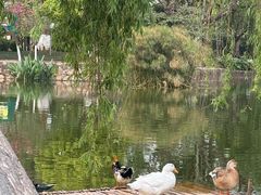 -昆明动物园