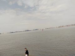 -海鸥岛