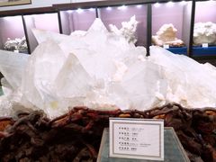-游龙石文化科普馆