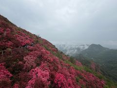 -木兰云雾山