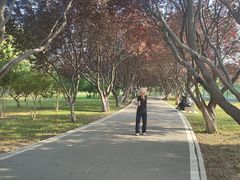 -石家庄市植物园