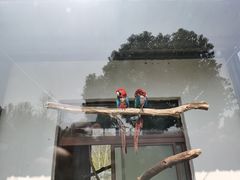 -上方山森林动物世界