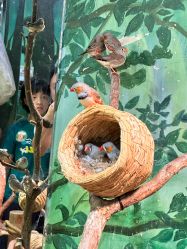 -Zoolung Zoolung动物主题公园(海信广场店)