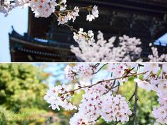 -清凉寺