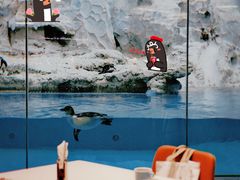 -帝企鹅自助餐厅•儿童岛•真企鹅(长隆企鹅酒店)