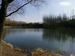 -昆山城市生态森林公园